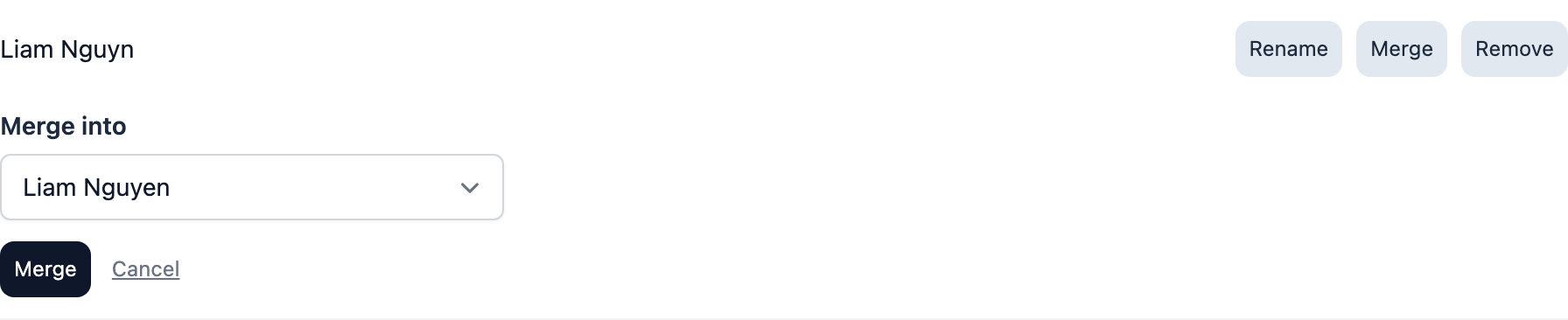 Merging a misspelled name into the correct seller